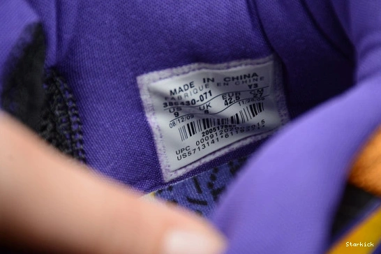 Nike 386429-071 Kobe Lakers  5 0310